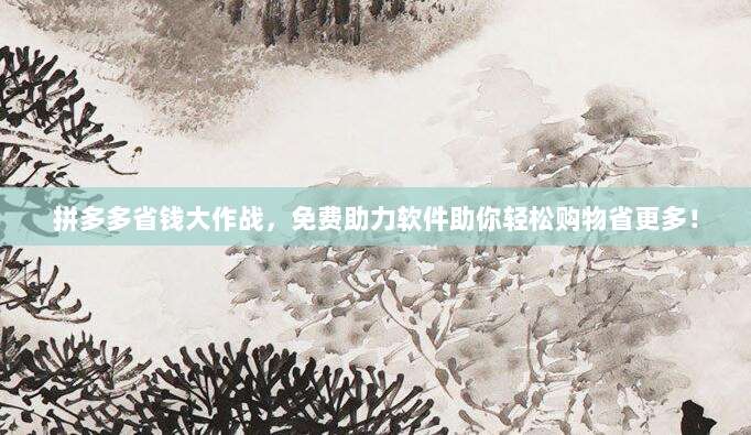 拼多多省钱大作战,免费助力软件助你轻松购物省更多!